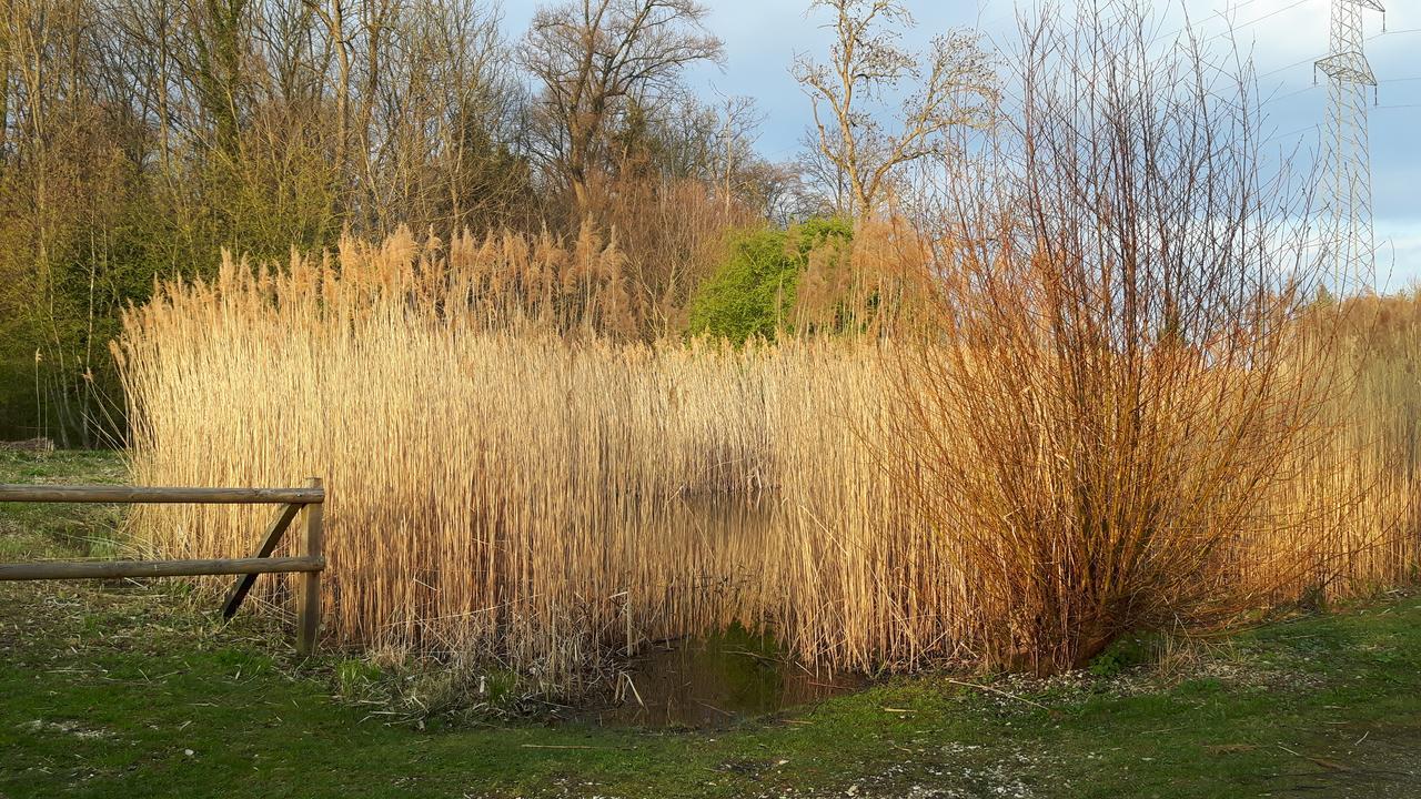 Bed and Breakfast Mybednbreakfast In Bottmingen Экстерьер фото