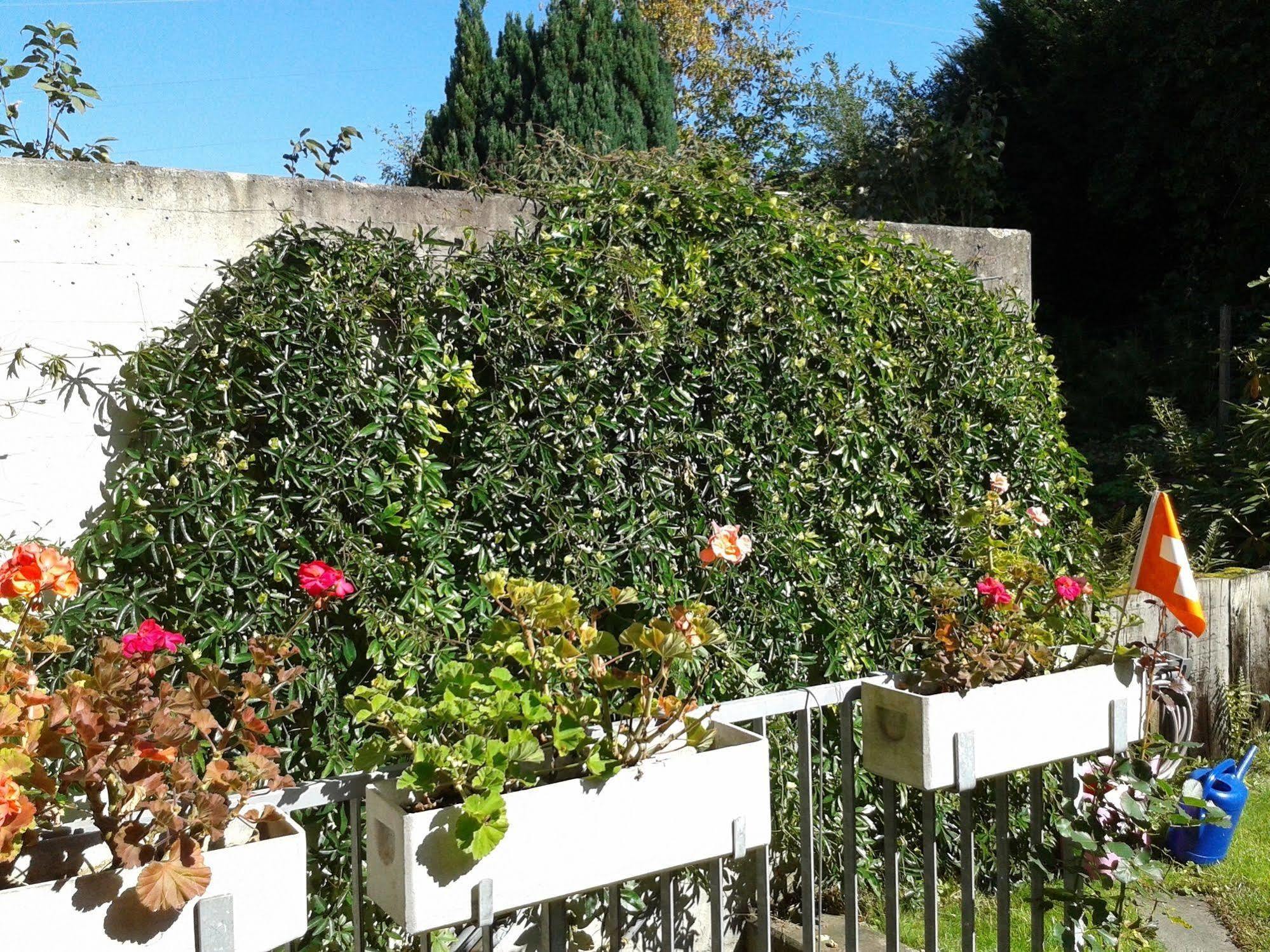Bed and Breakfast Mybednbreakfast In Bottmingen Экстерьер фото